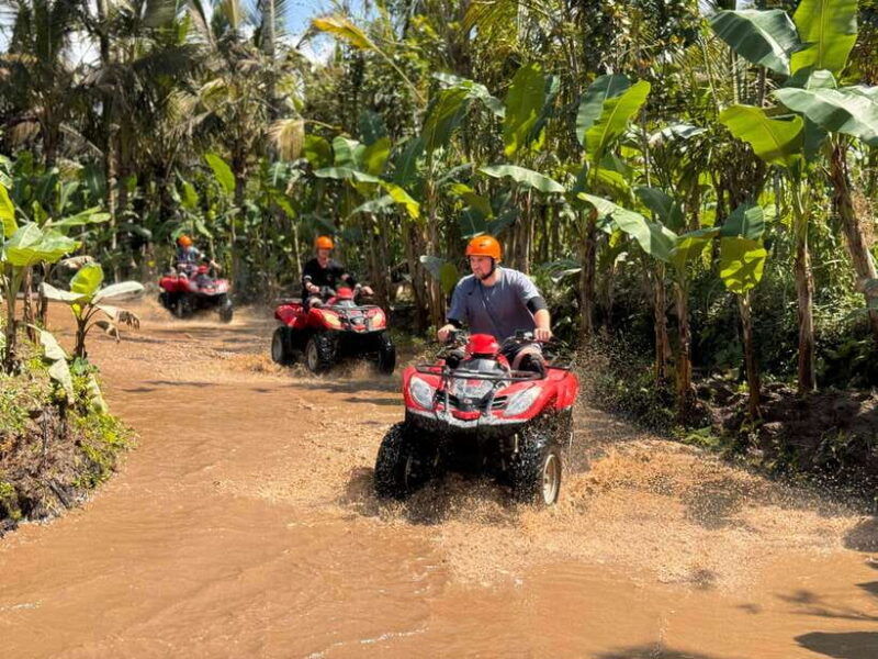 ubud-atv-quad-bike-zip-line-adventure-with-meal
