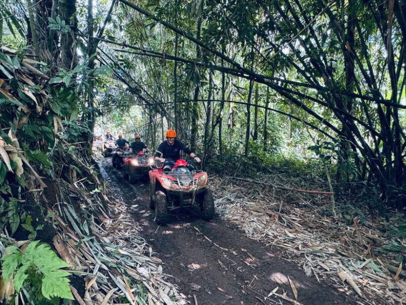 ubud-atv-quad-bike-zip-line-adventure-with-meal