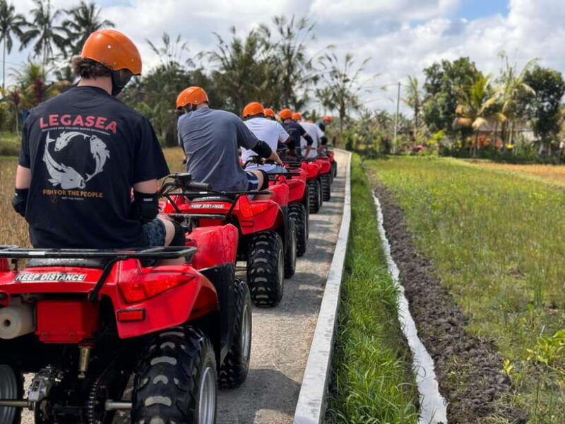 ubud-atv-quad-bike-zip-line-adventure-with-meal