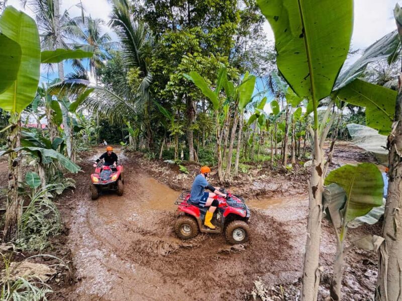 Ubud: ATV Quad Biking, Temple & Tibumana Waterfall Tour - Practical Details and Tips