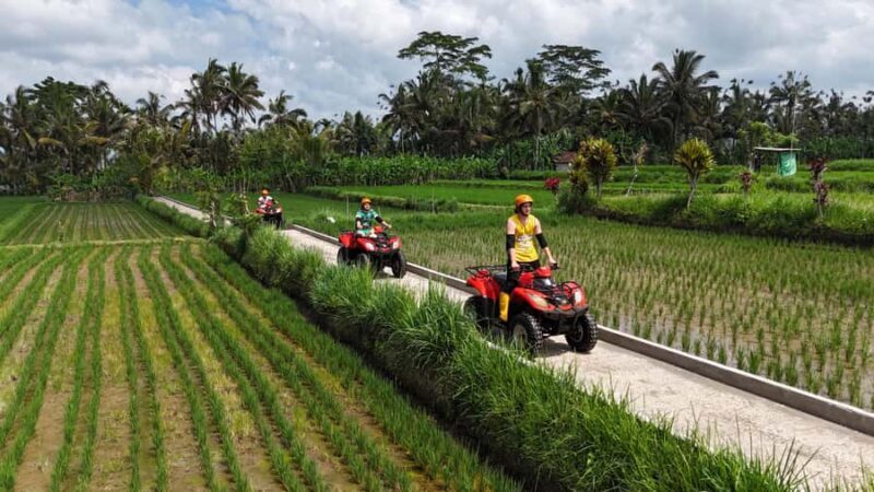 Ubud: ATV Quad Biking, Temple & Tibumana Waterfall Tour - Who Will Love This Tour?