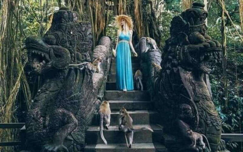 ubud-atv-ride-monkey-forest-and-tegalalang-rice-terrace