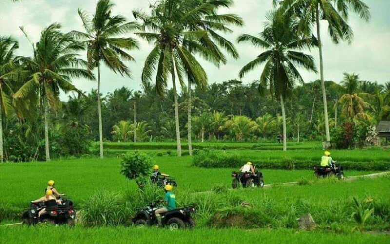 ubud-atv-ride-monkey-forest-and-tegalalang-rice-terrace