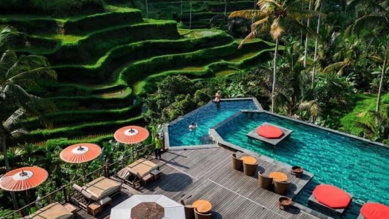 Ubud: ATV Tour with Dtukad Coffee Club - Key Points