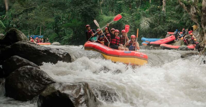 Ubud: Ayung River Rafting Adventure with Lunch and Transport - Key Points