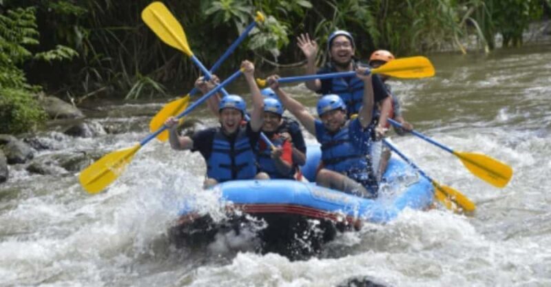Ubud: Ayung River Rafting Adventure with Lunch and Transport - What to Expect from the Ubud Ayung River Rafting Tour