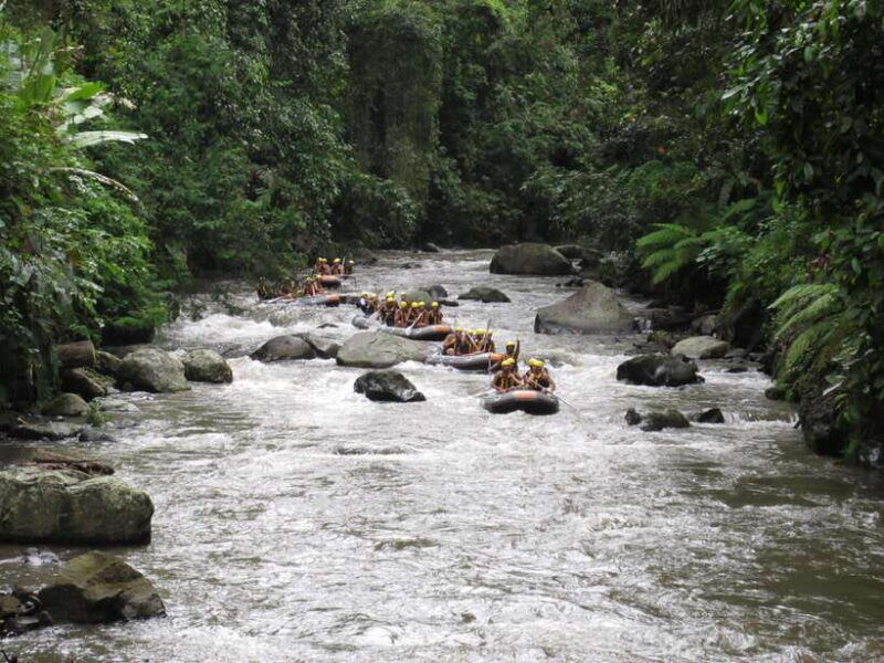 ubud-ayung-river-rafting-include-lunch