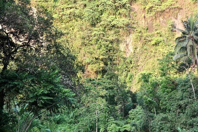 Ubud : Ayung River Rafting & Jungle swing - FAQs