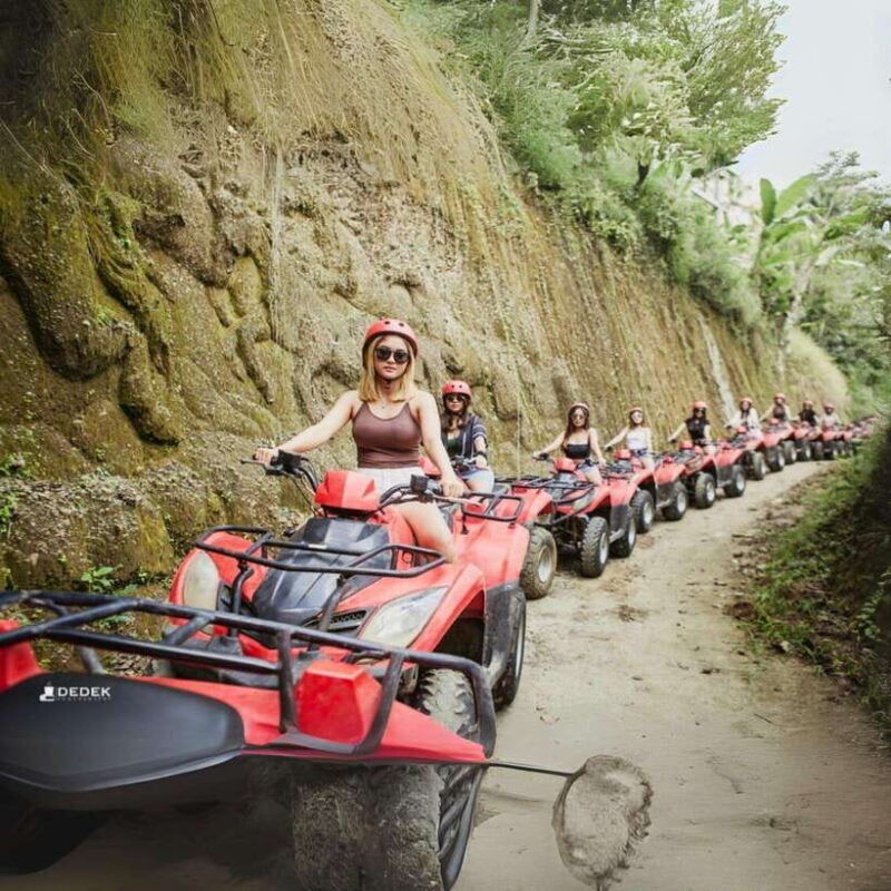 ubud-bali-alasan-adventure-atv-gorila-cave-cretya-pool-bar