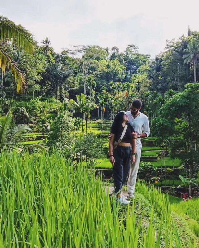 ubud-bali-half-day-tours