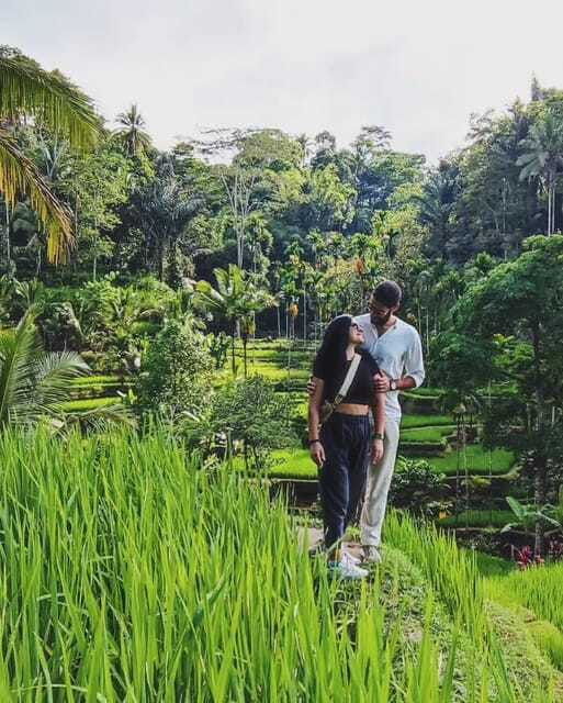 ubud-bali-half-day-tours