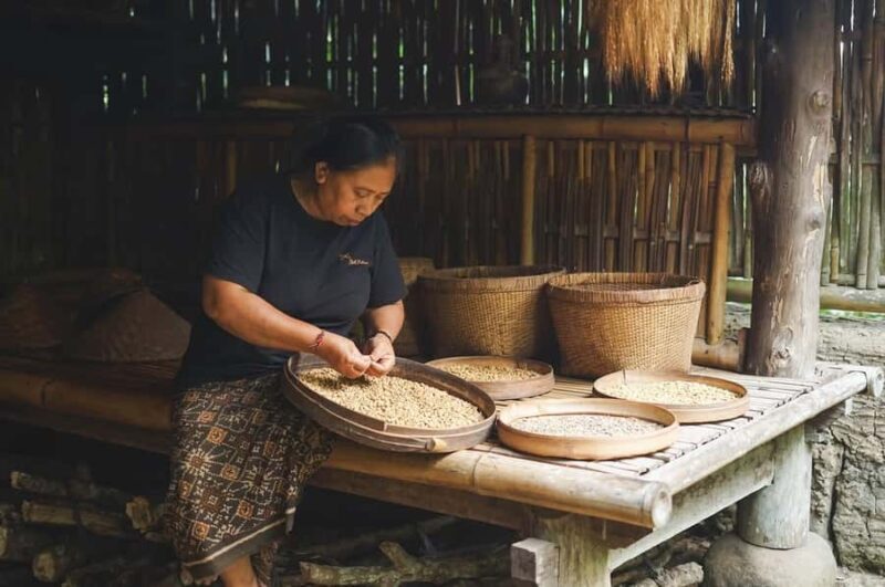 Ubud: Bali Pulina Tour with Swing & Tegallang Rice Terrace - Who Should Consider This Tour?