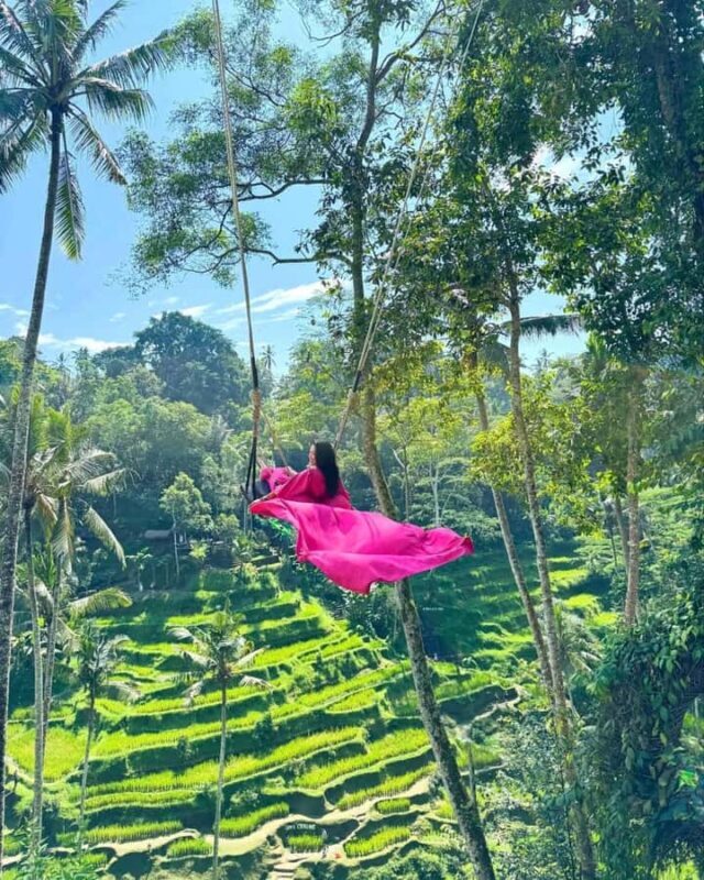 Ubud Bali: Sacred Monkey Forest, Waterfall & Swing Day Tour - Key Points