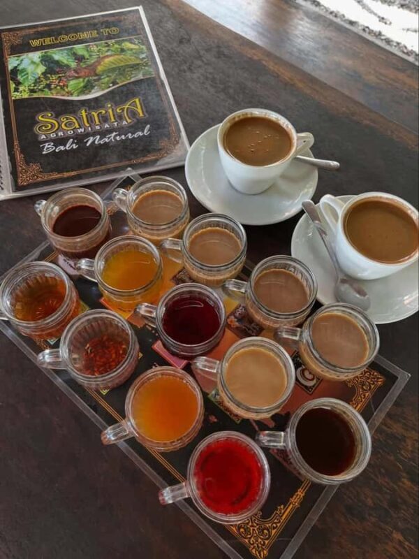 Ubud Bali: Sacred Monkey Forest, Waterfall & Swing Day Tour - An In-Depth Look at the Ubud Day Tour