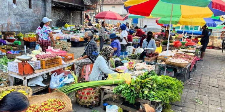 ubud-balinese-cooking-class-at-an-organic-farm
