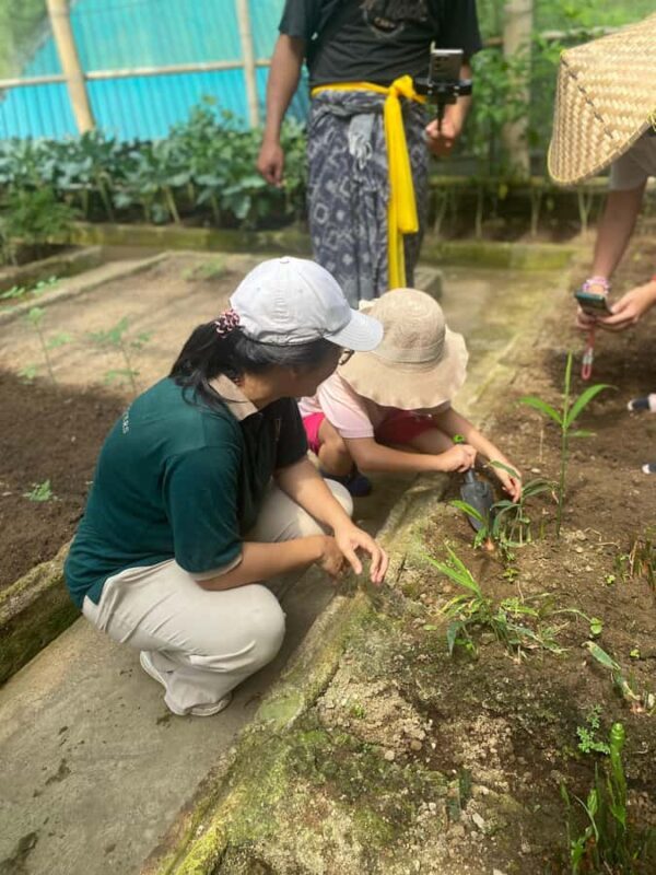 Ubud: Balinese Culture and Farming Experience with Lunch - Discovering the Heart of Bali’s Rural Culture