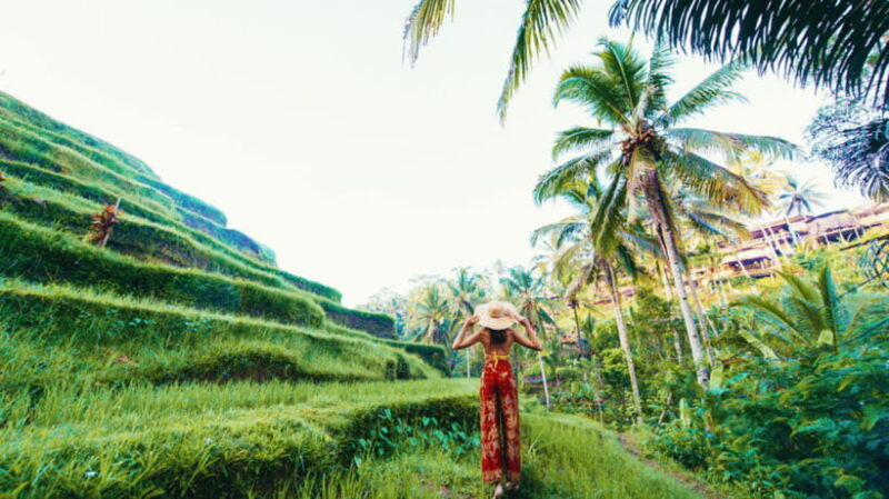 ubud-balinese-culture-and-nature-private-full-day-tour