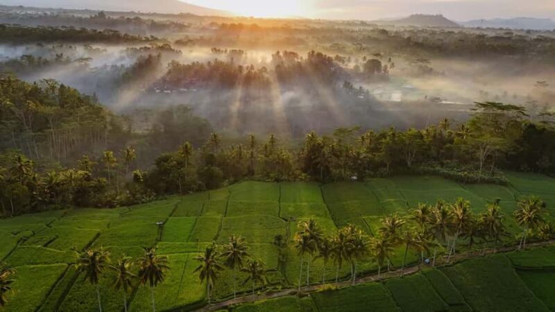Ubud : Balinese House, Hidden Rice Field, & Coffee Break - The Sum Up