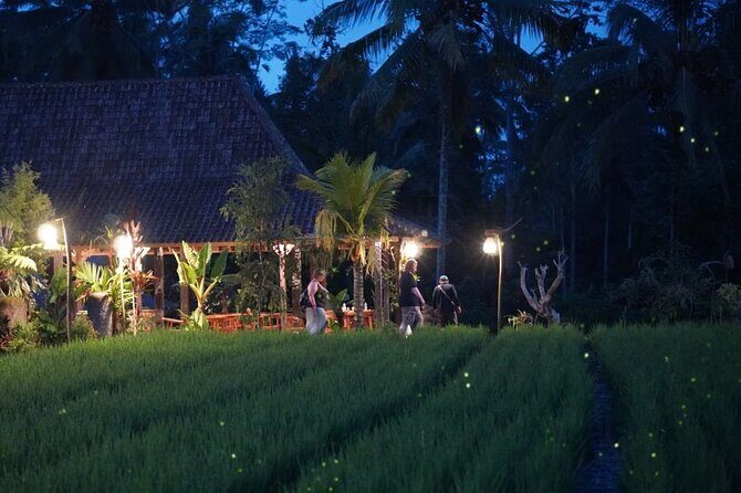 Ubud: Balinese Village Life, Organic Farm Dinner and Firefly Tour - Key Points