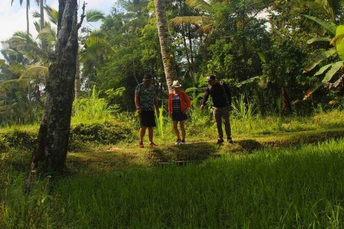 Ubud: Balinese Village Life, Organic Farm Dinner and Firefly Tour - Exploring the Day in Detail