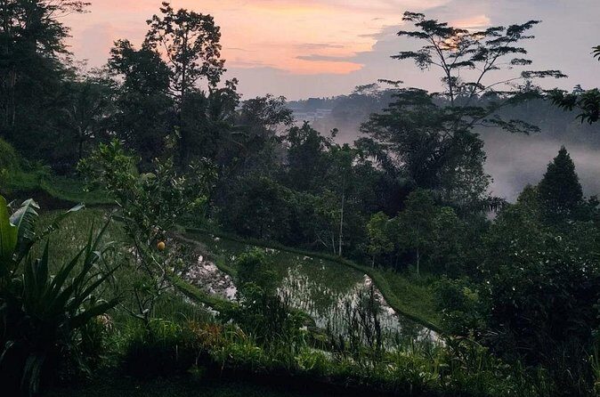 Ubud: Balinese Village Life, Organic Farm Dinner and Firefly Tour - FAQs