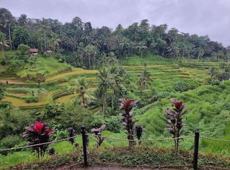 ubud-barong-dance-temple-rice-terrace-waterfall