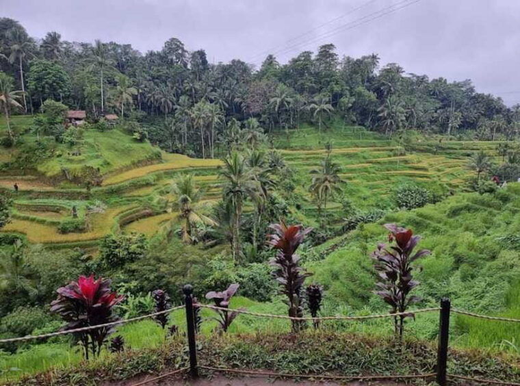 ubud-barong-dance-temple-rice-terrace-waterfall