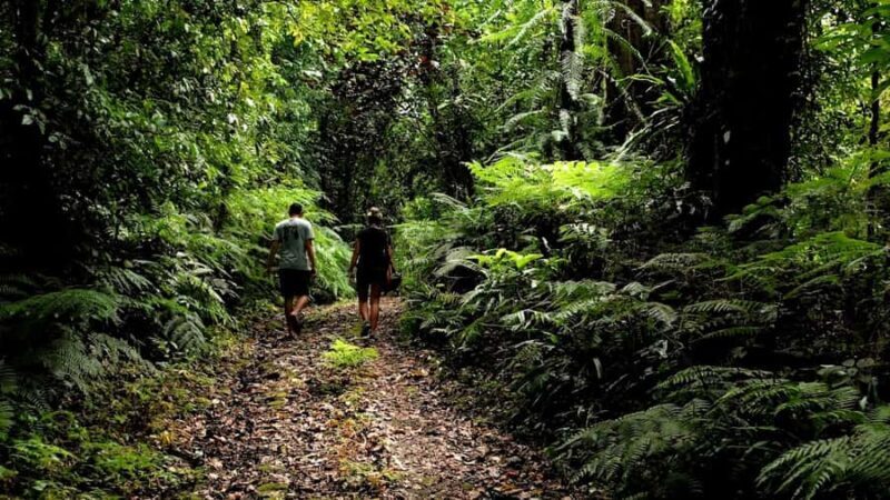 Ubud: Bayad Village, Waterfall and Cave Trek Adventure - Why This Tour Matters: The Value for Travelers