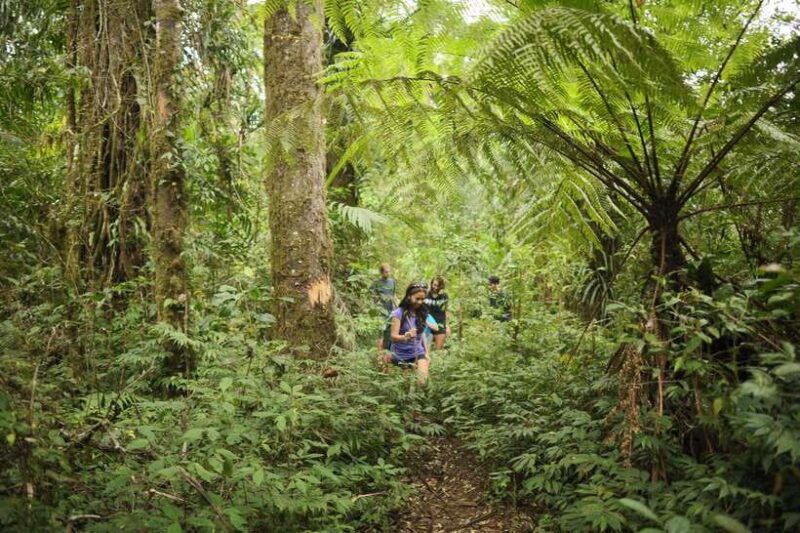 ubud-bayad-village-waterfall-and-cave-trek-adventure