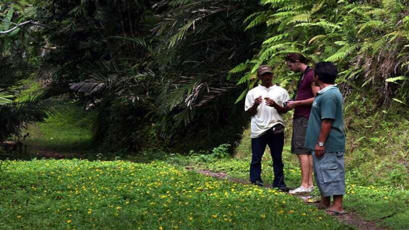 ubud-bayad-village-waterfall-and-cave-trek-adventure