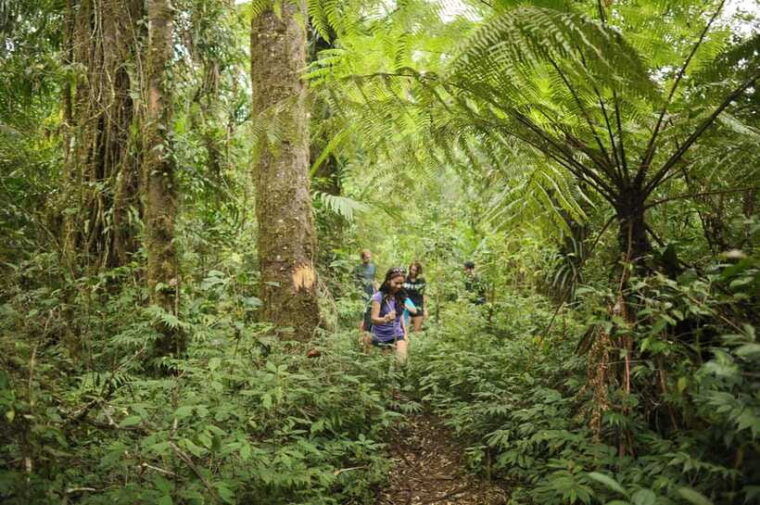 ubud-bayad-village-waterfall-and-cave-trek-adventure