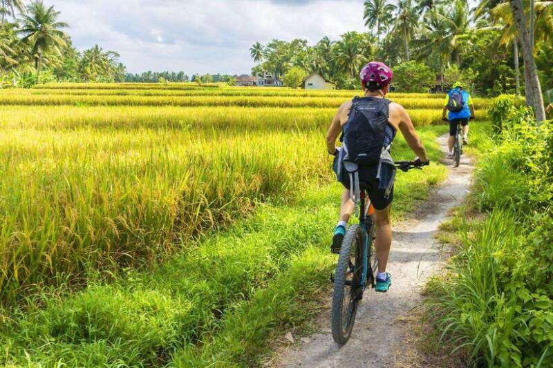 ubud-bike-tour-ride-to-balis-holy-water-temple