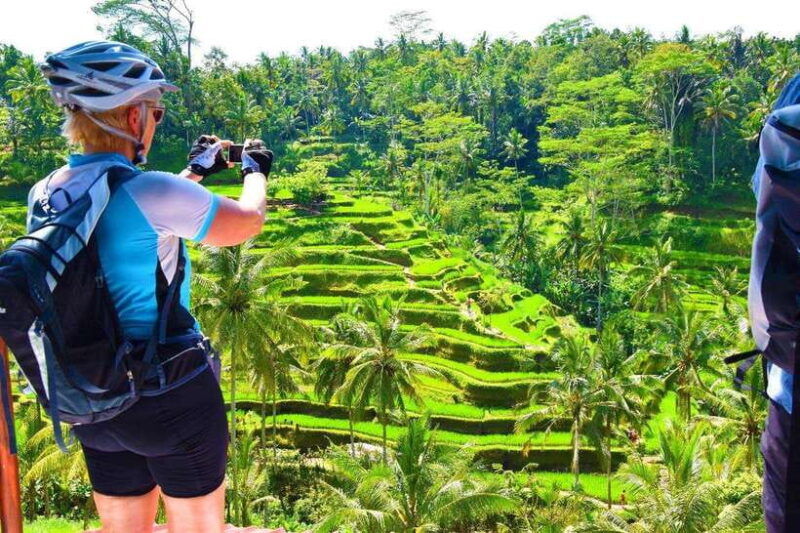 ubud-bike-tour-ride-to-balis-holy-water-temple