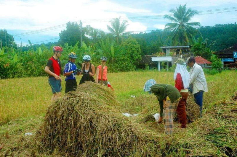 ubud-bike-tour-ride-to-balis-holy-water-temple
