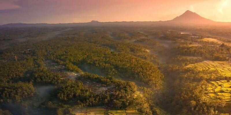 ubud-bliss-tour-rice-terrace-monkey-forest-infinity-pool