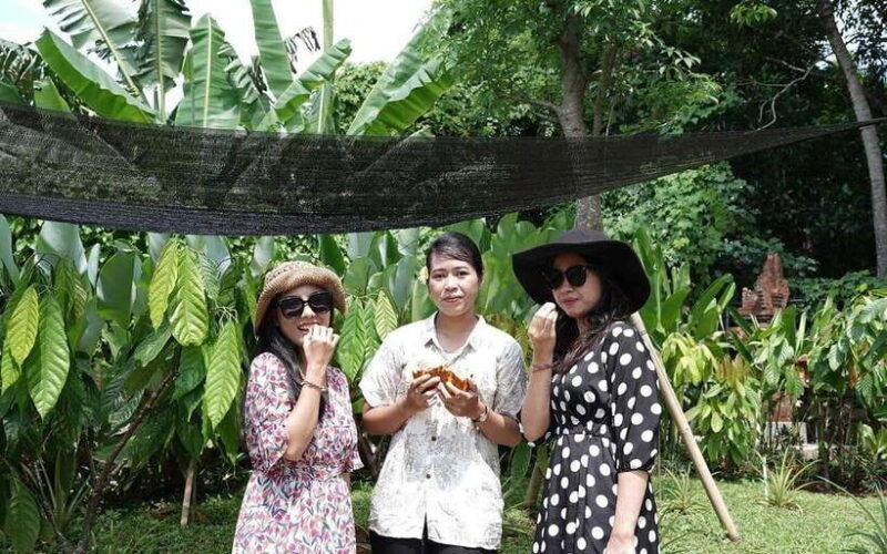 ubud-cacao-plantation-tour-w-chocolate-workshop-tasting
