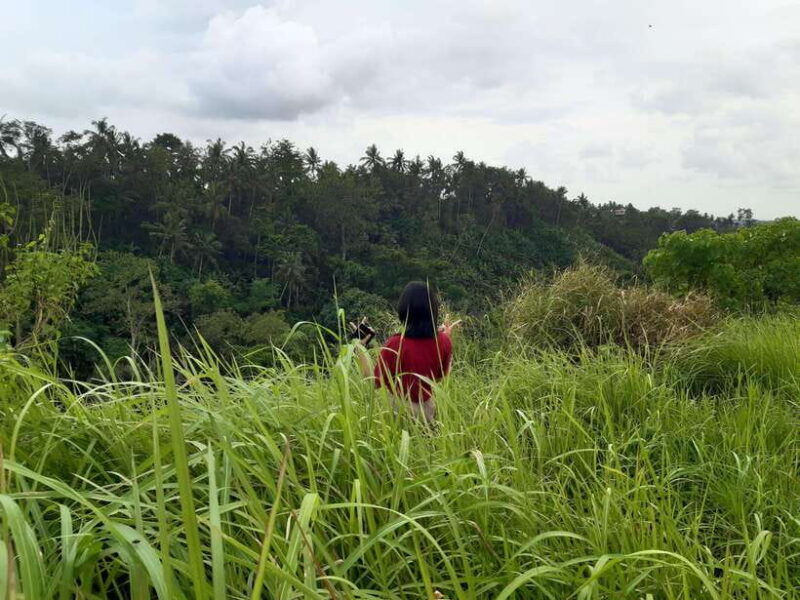 ubud-campuhan-ridge-walk-tegallalang-rice-terrace-more