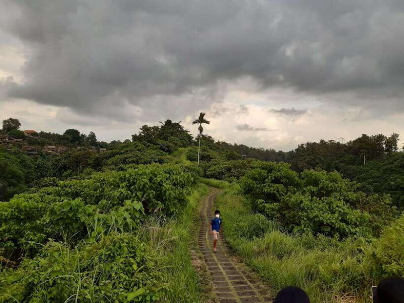 ubud-campuhan-ridge-walk-tegallalang-rice-terrace-more