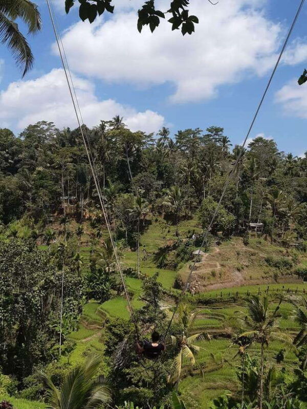 ubud-campuhan-ridge-walk-tegallalang-rice-terrace-more