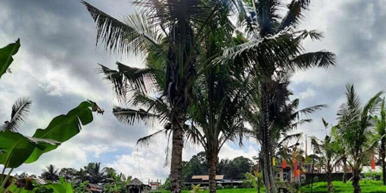 ubud-cave-tubing-adventure-with-lunch-and-transfers