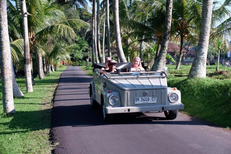 Ubud: Classic VW Safari to Waterfall, Swing & Rice Terraces - Is this tour worth it?