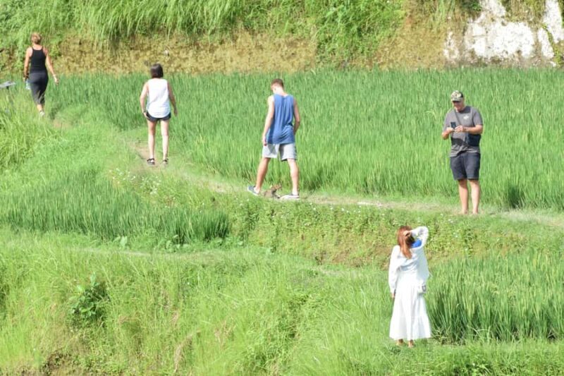 Ubud: Classic VW Safari to Waterfall, Swing & Rice Terraces - FAQ