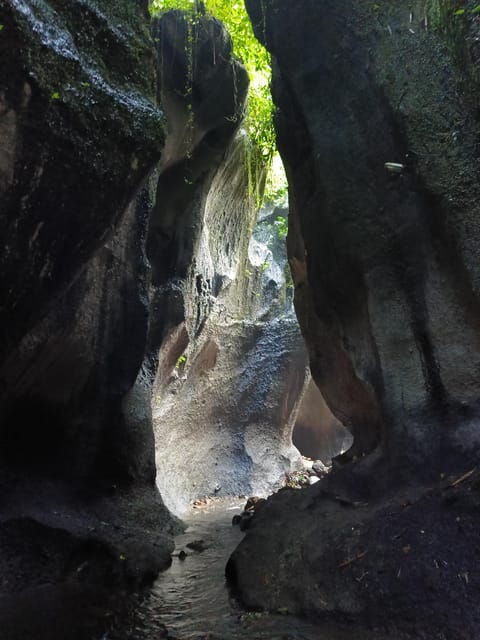 ubud-combination-full-day-ubud-tour-with-private-guide