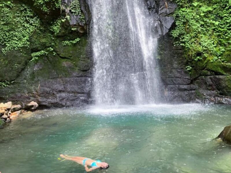 ubud-complete-full-day-tour-rice-terraces-swing-more
