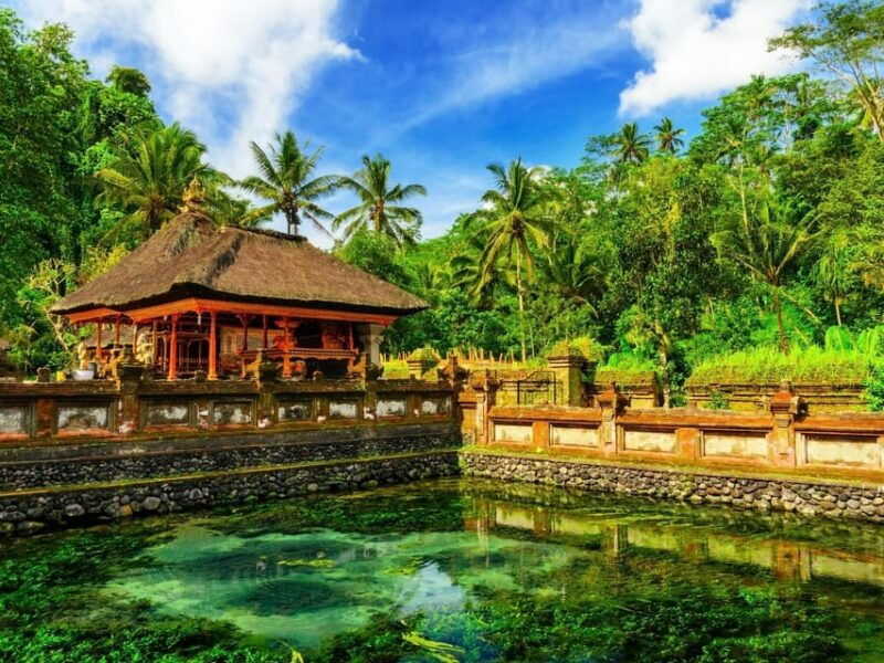 ubud-complete-full-day-tour-rice-terraces-swing-more