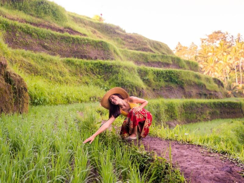 ubud-complete-full-day-tour-rice-terraces-swing-more