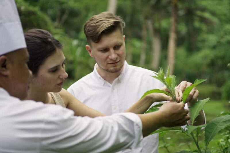 Ubud: Cooking Class & Herb Garden Tour with Local Chef - Discovering Bali’s Flavors and Scenery in One Tour