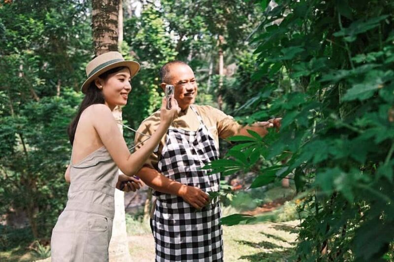Ubud: Cooking Class & Herb Garden Tour with Local Chef - Who Would Love This Experience?