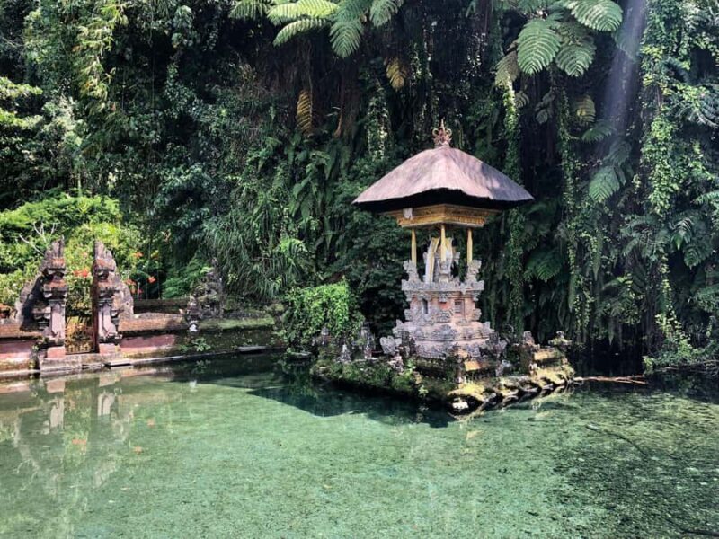 Ubud: Cretya Infinity Pool, Hidden Waterfall & Water Temple - An in-Depth Look at the Experience