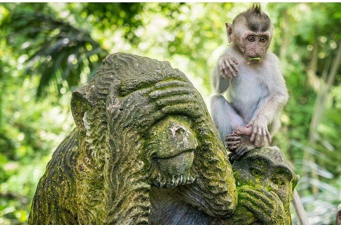 Ubud Culture Fullday Tour - Practical Tips for Making the Most of the Tour